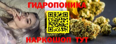 гидропоника Балашиха