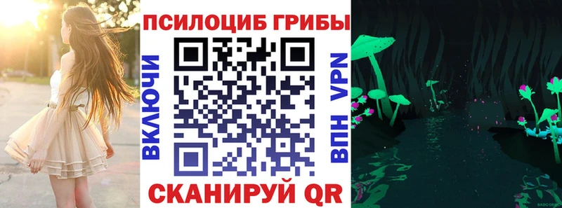 Галлюциногенные грибы Psilocybine cubensis  Дербент 