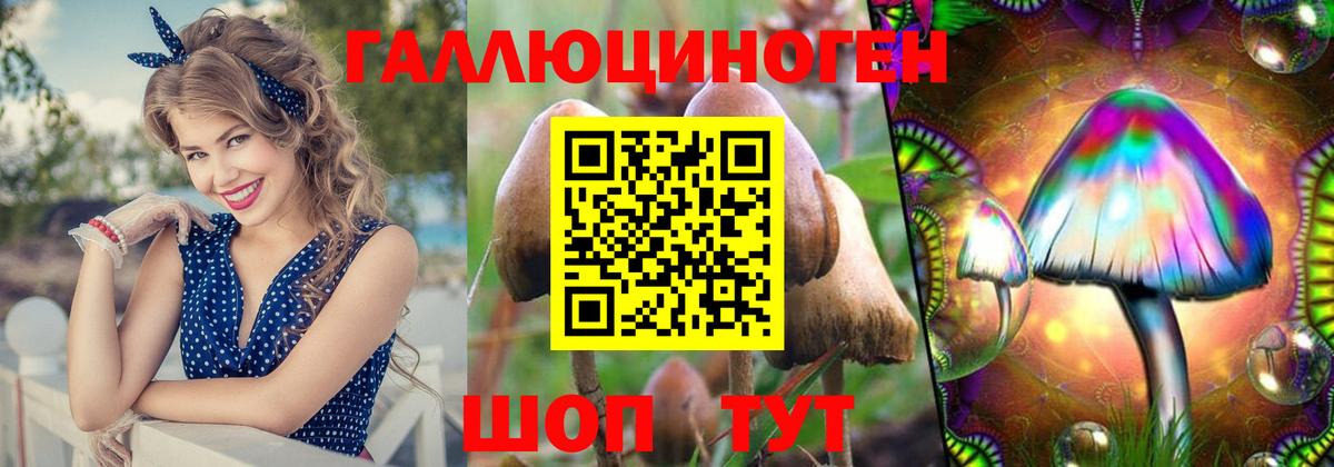 Псилоцибиновые грибы прущие грибы Дербент